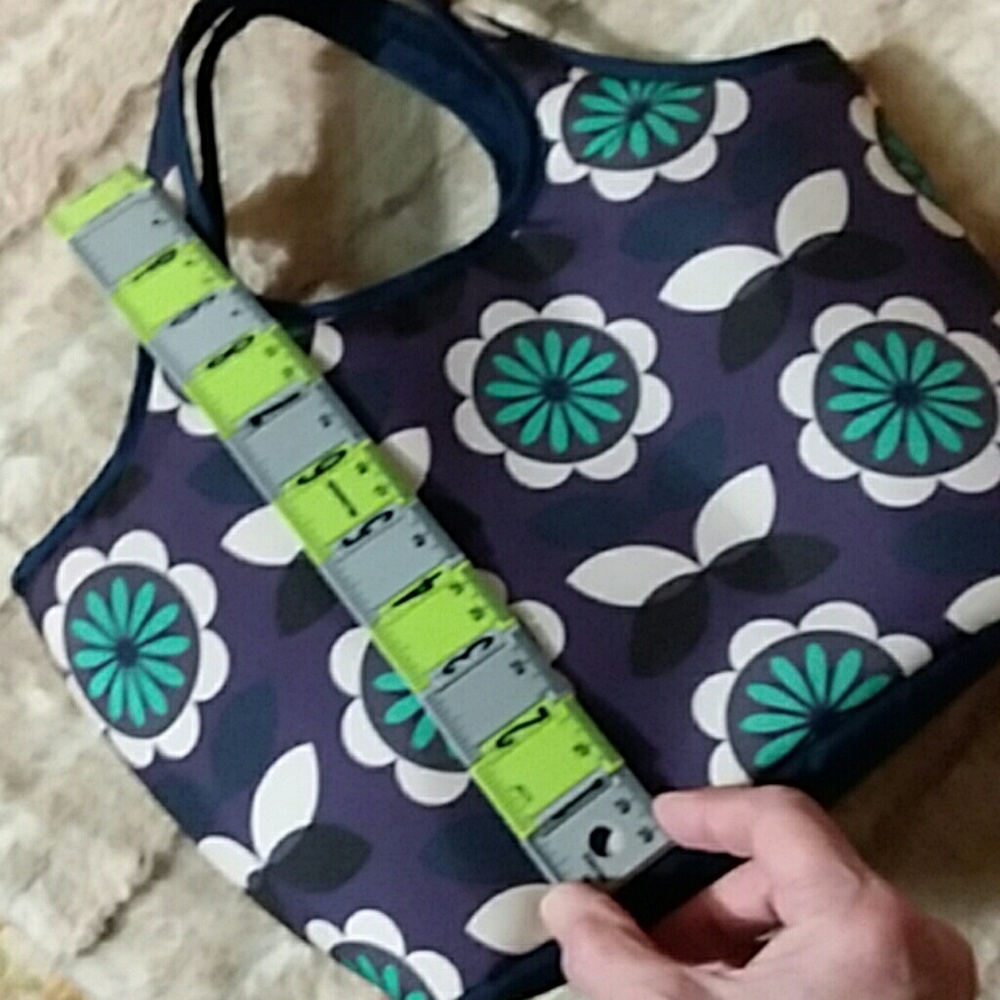 ❤ EUC Rachel Ray Insulated Lunch Tote - Picture 5 of 8